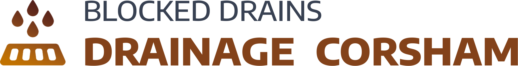 website logo